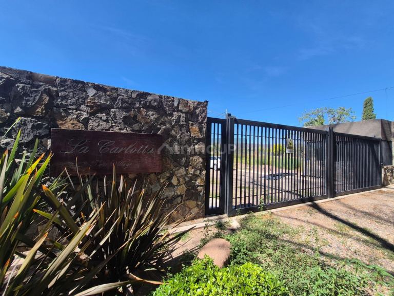 Lote en Venta en Lujan de Cuyo, Mendoza