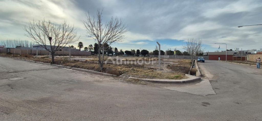 Lote en Venta en Lujan de Cuyo, Mendoza