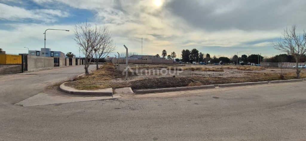 Lote en Venta en Lujan de Cuyo, Mendoza