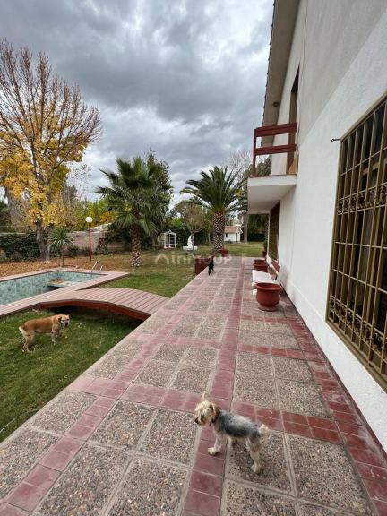 Casa en Alquiler en San Martin, Mendoza