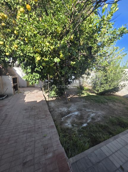 Casa en Alquiler en San Martin, Mendoza