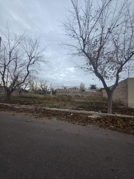Lote en Venta en San Martin, Mendoza