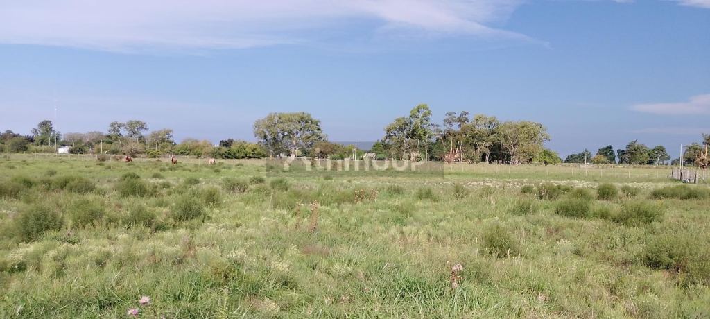 Casa en Venta en La Plata, G.B.A. Zona Sur