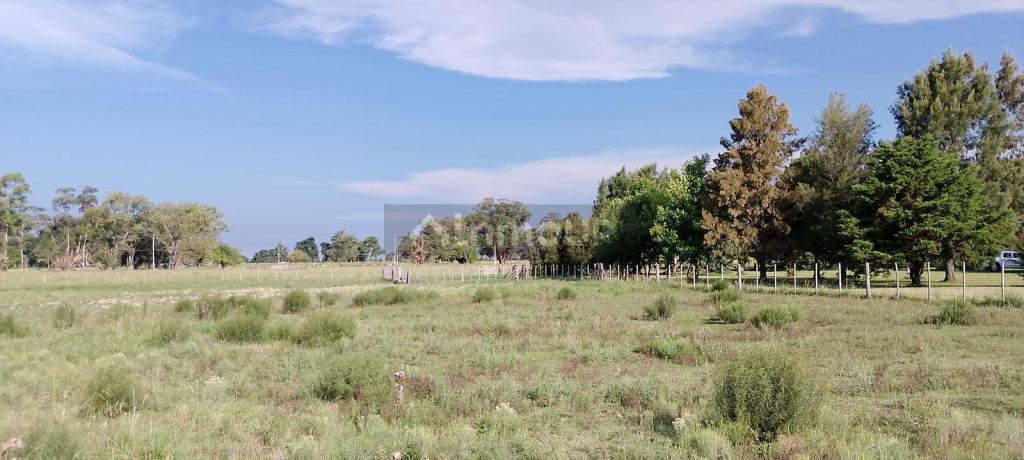 Casa en Venta en La Plata, G.B.A. Zona Sur