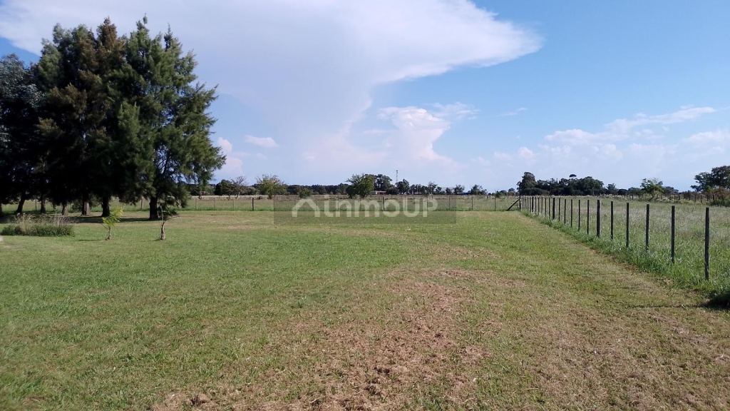 Casa en Venta en La Plata, G.B.A. Zona Sur