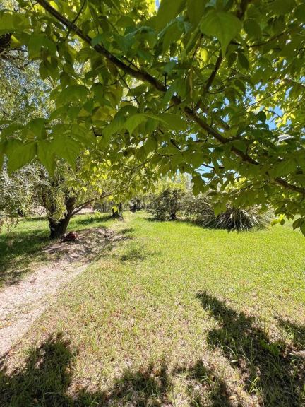 Lote en Venta en Maipu, Mendoza