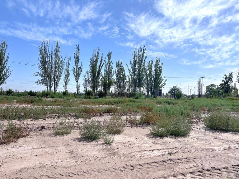 Lote en Venta en Maipu, Mendoza