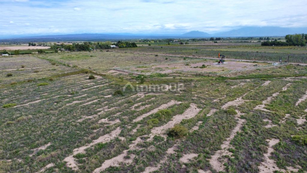 Campo en Venta en Lujan de Cuyo, Mendoza