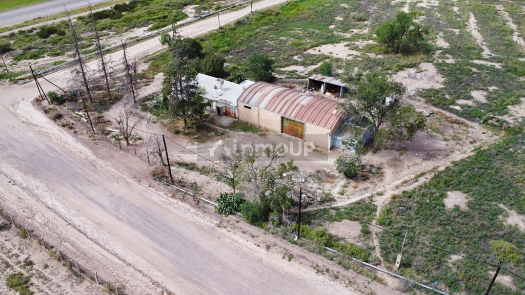 Campo en Venta en Lujan de Cuyo, Mendoza