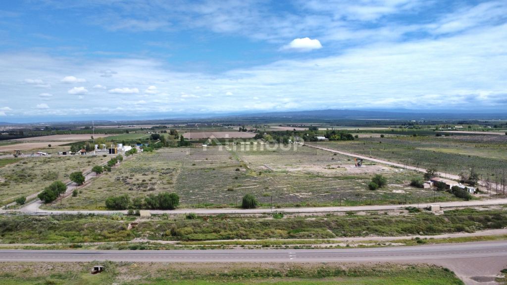 Campo en Venta en Lujan de Cuyo, Mendoza
