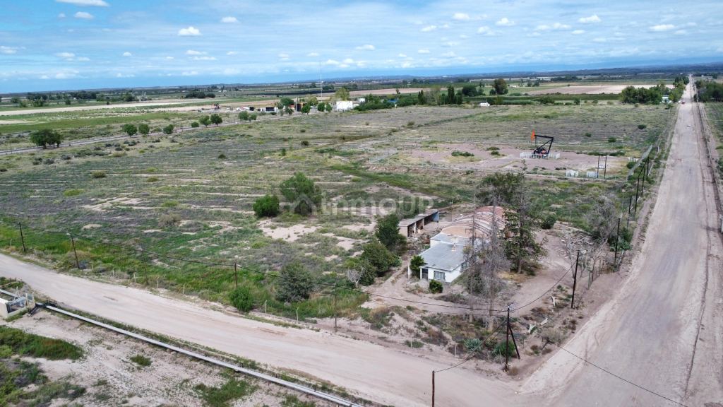 Campo en Venta en Lujan de Cuyo, Mendoza