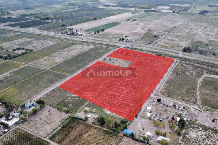 Campo en Venta en Lujan de Cuyo, Mendoza