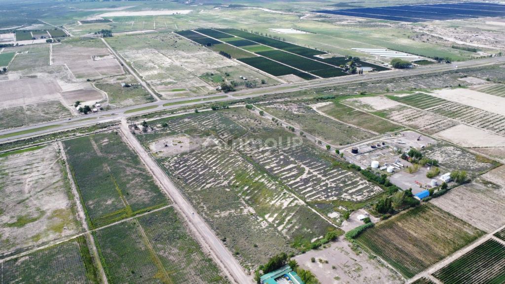 Campo en Venta en Lujan de Cuyo, Mendoza