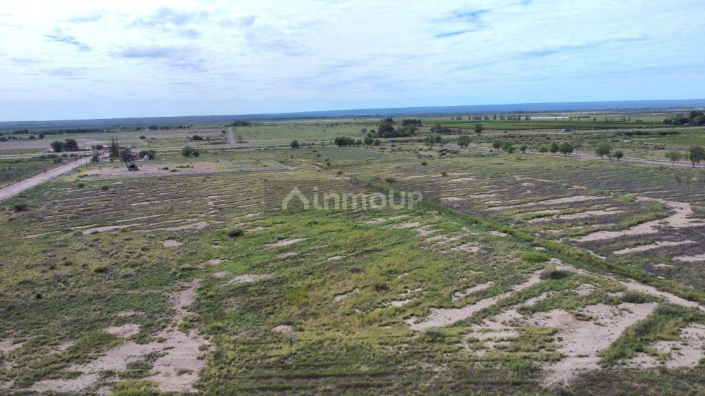Campo en Venta en Lujan de Cuyo, Mendoza