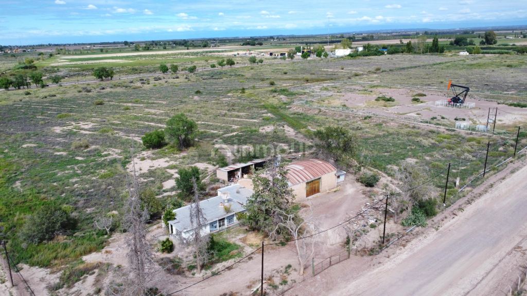 Campo en Venta en Lujan de Cuyo, Mendoza