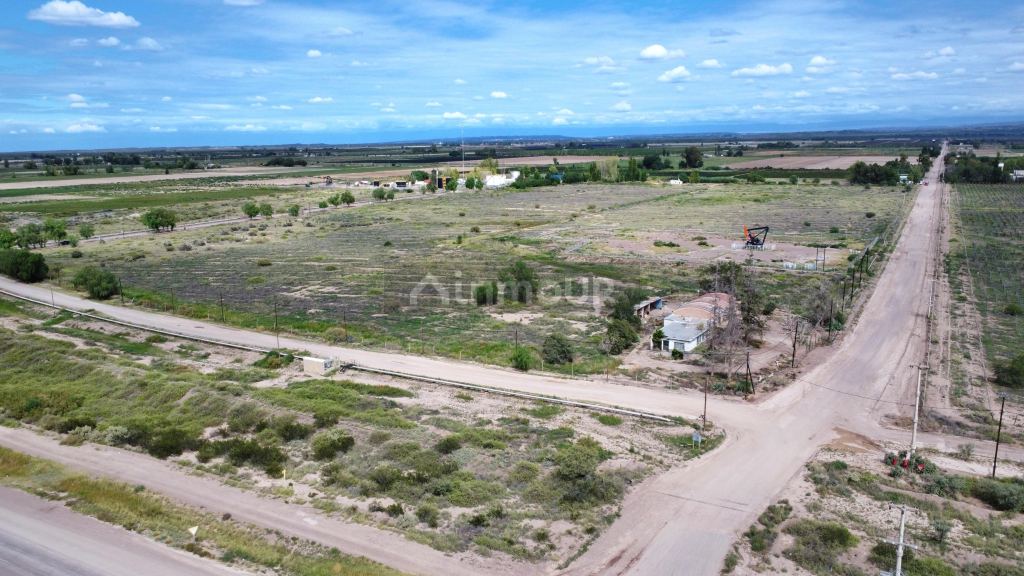 Campo en Venta en Lujan de Cuyo, Mendoza
