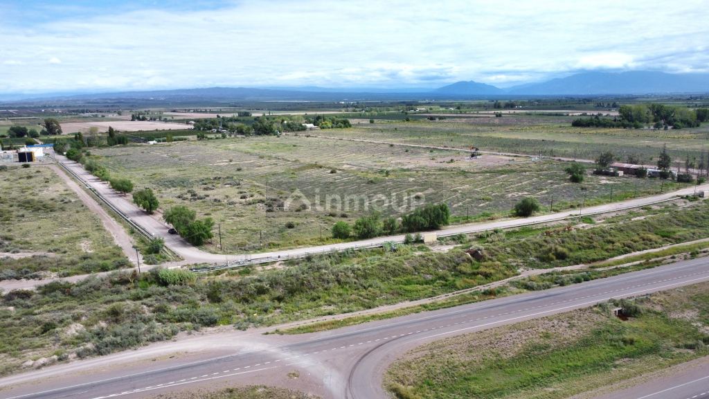 Campo en Venta en Lujan de Cuyo, Mendoza