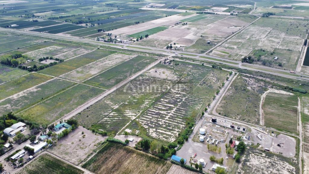 Campo en Venta en Lujan de Cuyo, Mendoza