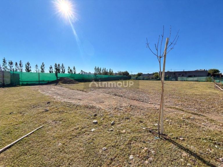Lote en Venta en Lujan de Cuyo, Mendoza