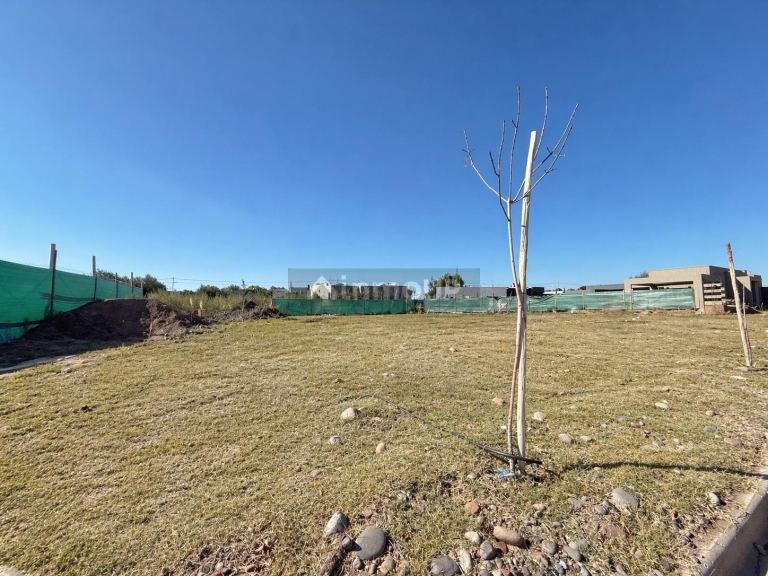 Lote en Venta en Lujan de Cuyo, Mendoza