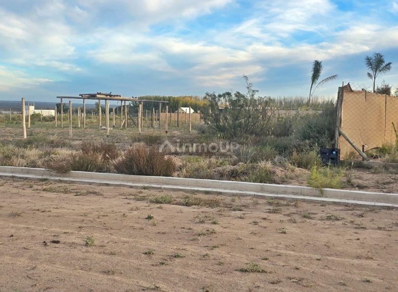 Lote en Venta en Lujan de Cuyo, Mendoza