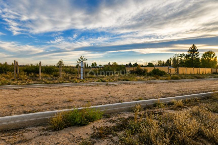 Lote en Venta en Lujan de Cuyo, Mendoza