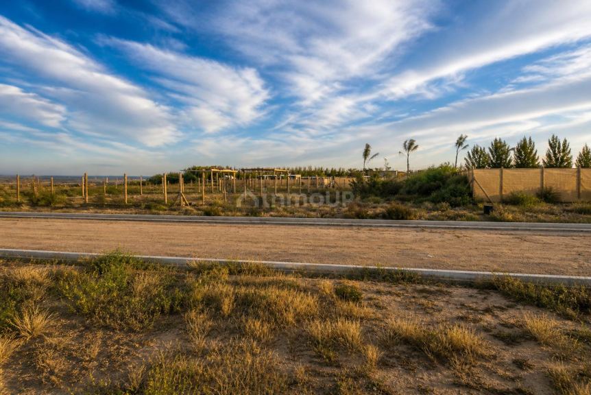Lote en Venta en Lujan de Cuyo, Mendoza