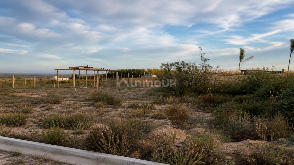 Lote en Venta en Lujan de Cuyo, Mendoza