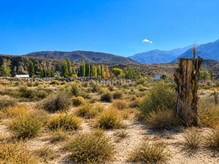 Lote en Venta en Lujan de Cuyo, Mendoza
