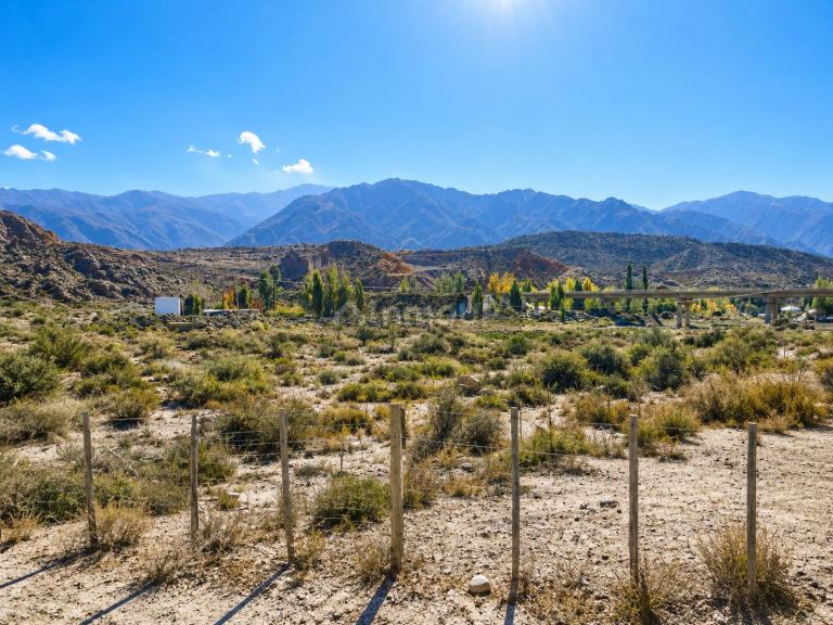 Lote en Venta en Lujan de Cuyo, Mendoza