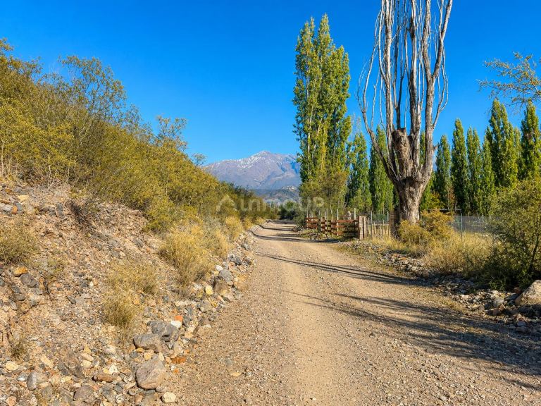 Lote en Venta en Lujan de Cuyo, Mendoza