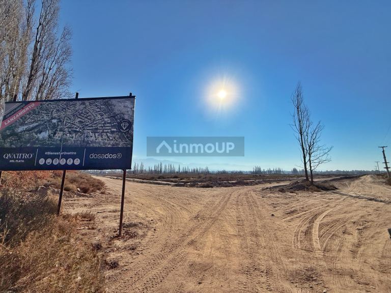 Lote en Venta en Lujan de Cuyo, Mendoza