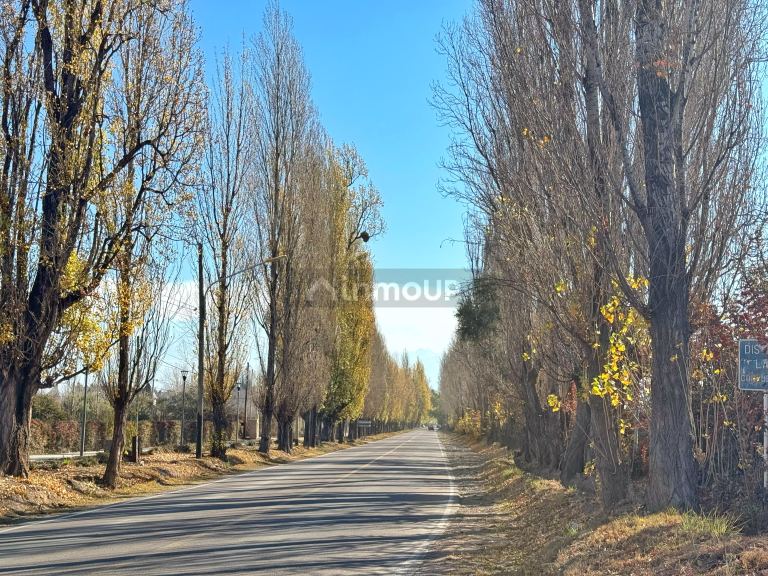 Lote en Venta en Lujan de Cuyo, Mendoza