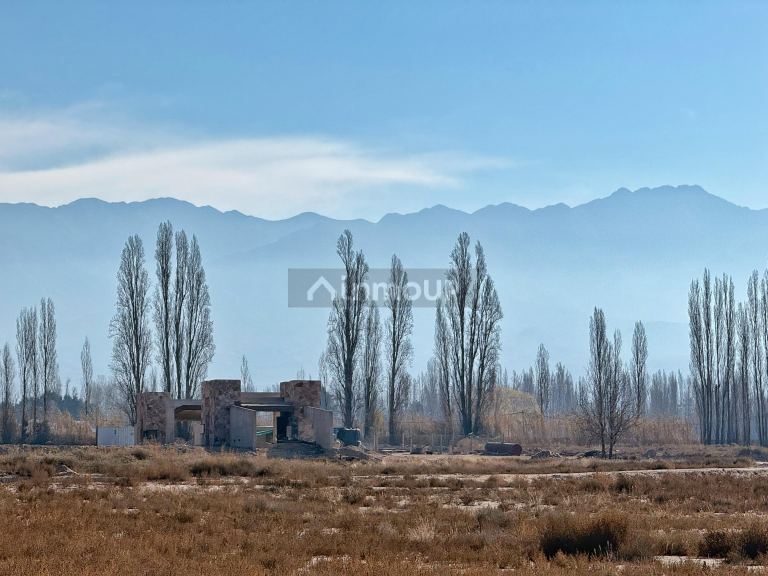 Lote en Venta en Lujan de Cuyo, Mendoza