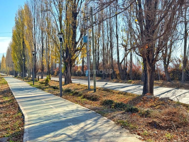 Lote en Venta en Lujan de Cuyo, Mendoza