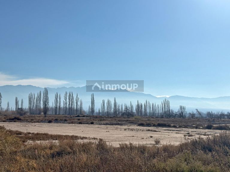 Lote en Venta en Lujan de Cuyo, Mendoza