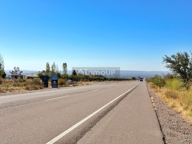 Campo en Venta en Lujan de Cuyo, Mendoza