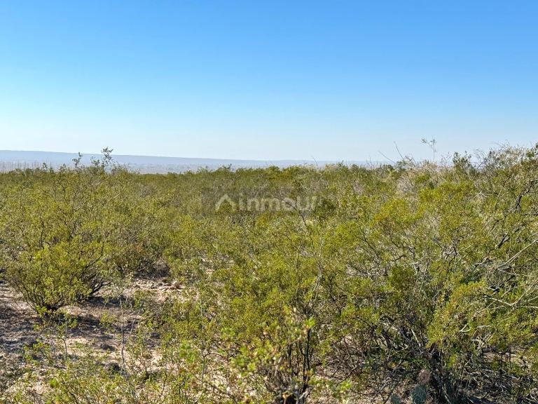 Campo en Venta en Lujan de Cuyo, Mendoza