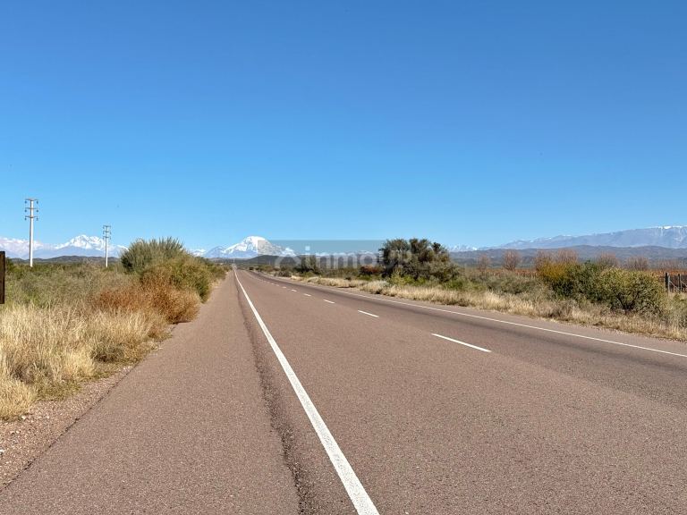 Campo en Venta en Lujan de Cuyo, Mendoza