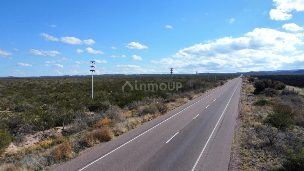 Campo en Venta en Lujan de Cuyo, Mendoza