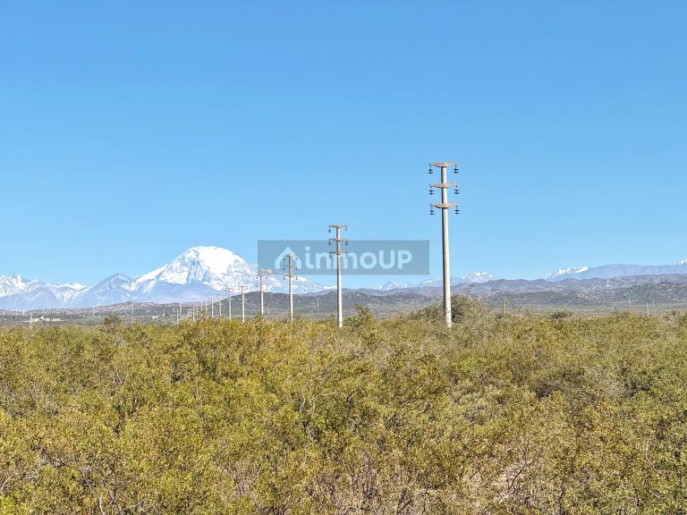 Campo en Venta en Lujan de Cuyo, Mendoza