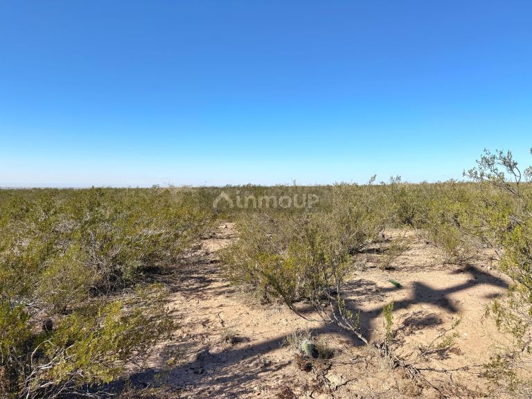 Campo en Venta en Lujan de Cuyo, Mendoza