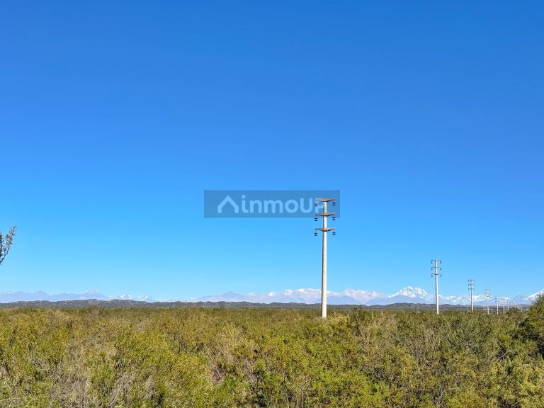 Campo en Venta en Lujan de Cuyo, Mendoza
