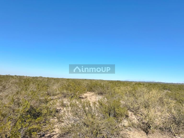 Campo en Venta en Lujan de Cuyo, Mendoza