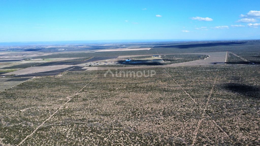 Campo en Venta en Lujan de Cuyo, Mendoza