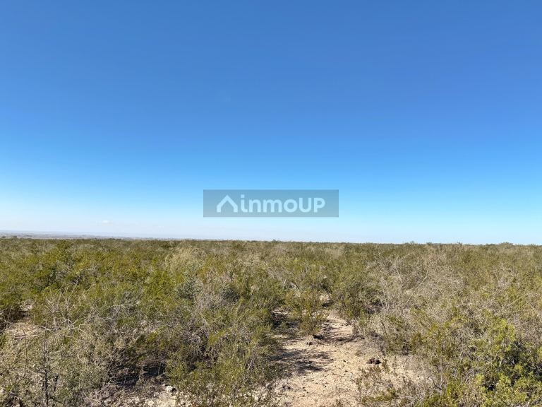 Campo en Venta en Lujan de Cuyo, Mendoza