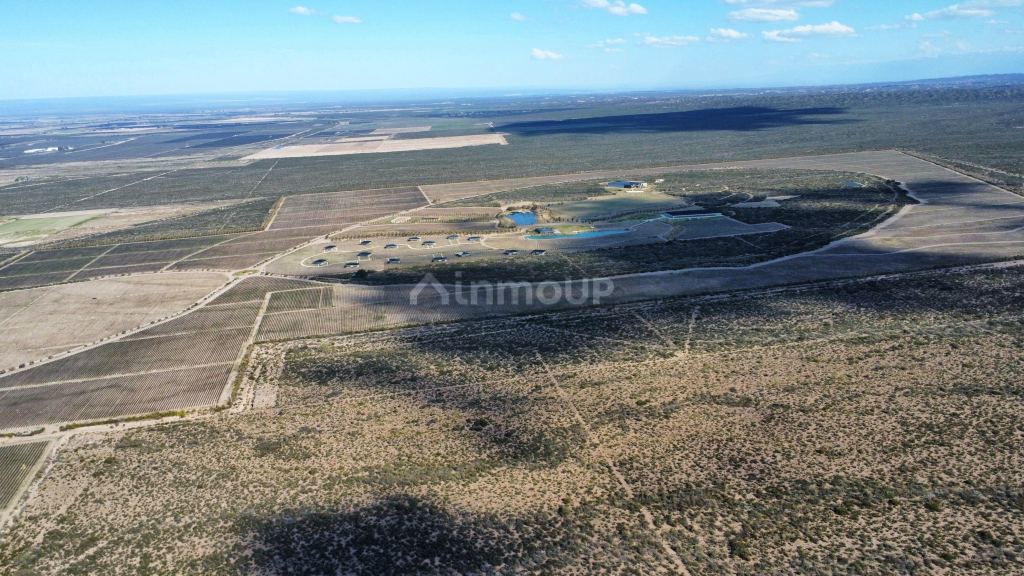Campo en Venta en Lujan de Cuyo, Mendoza