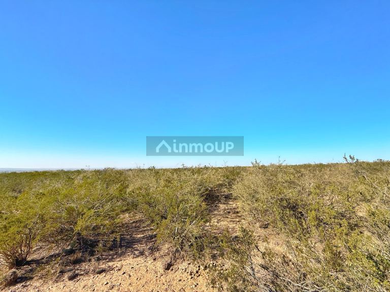 Campo en Venta en Lujan de Cuyo, Mendoza