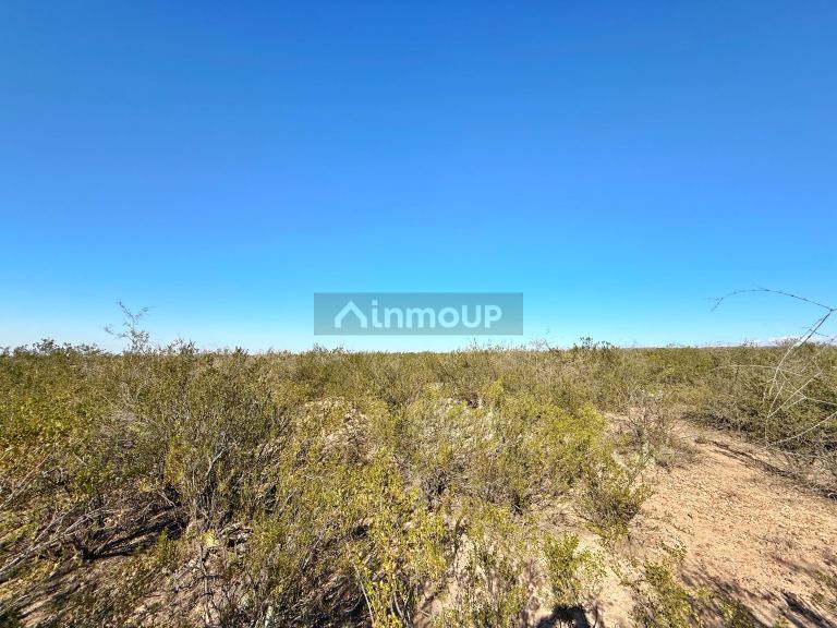 Campo en Venta en Lujan de Cuyo, Mendoza