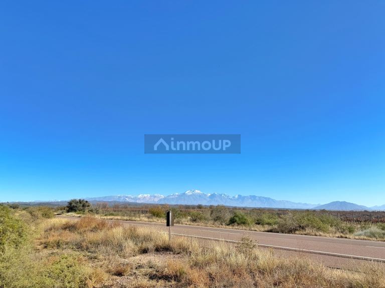 Campo en Venta en Lujan de Cuyo, Mendoza